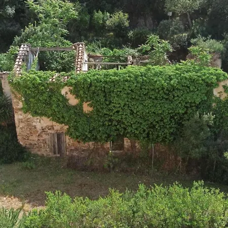 Apartman Borgo Ingurtosu