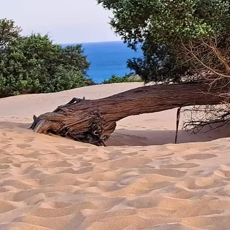 Appartamento Borgo Ingurtosu