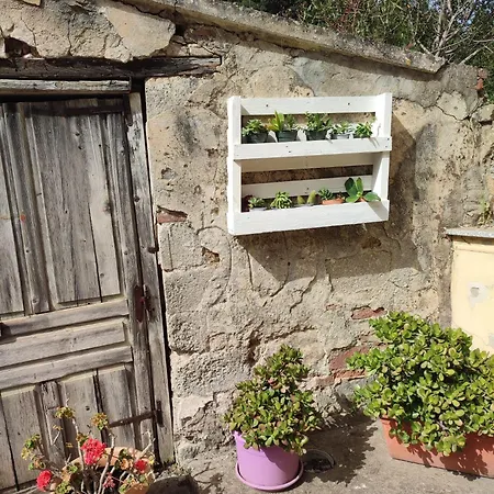 Borgo