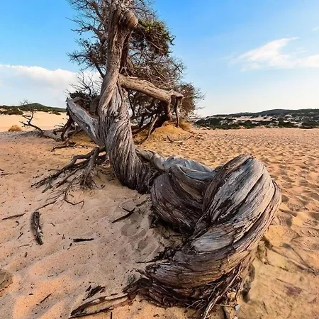 דירה Borgo Ingurtosu