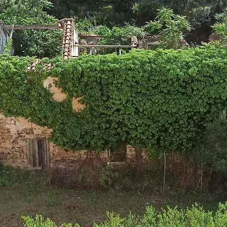 דירה Borgo Ingurtosu