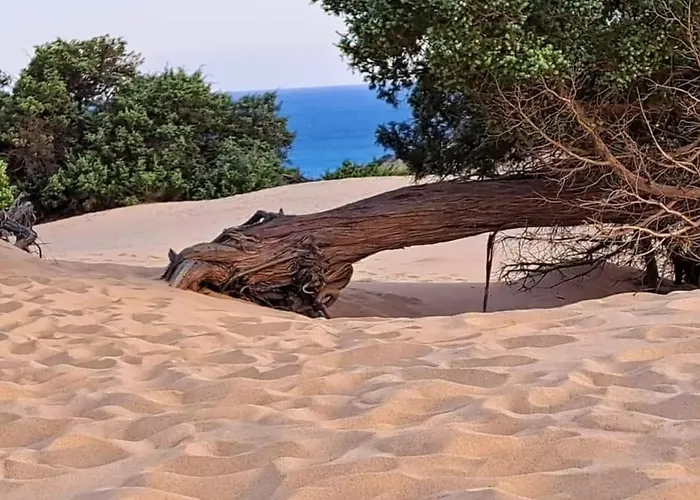 Διαμέρισμα Borgo Ingurtosu